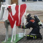 © FF Stellingen