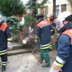 <br>© FF Stellingen<br>