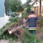<br>© FF Stellingen<br>