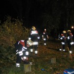 Wildes Gesäge und Geschnippel aus alles Ecken.