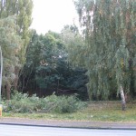 Das einzigste was hier noch stehen bleiben soll, sind die Bäume im hinteren Teil, auf dem Hang. Am Samstag, dem 22.10.2005 wird hier mit der Fällung begonnen.