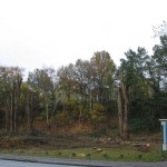 am 16.11.2005
