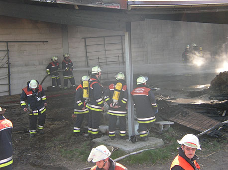 (c) N. Aulerich FF SUELD