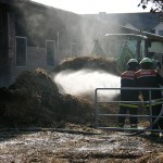 (c) N. Aulerich FF SUELD