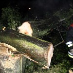 Möllner Landstr/Schleemer Park - Foto: Nosinski/Wiedenmann (FF Öjendorf)