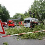 Einsatz FF Eidelstedt, Randowstraße, Baum auf Kleinlaster - Foto: Rico Thumser