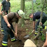 Bei hochsommerlichen Temperaturen wurde begonnen Flynn auszugraben