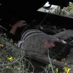 Eine verletzte Person lag unter dem Zug.....