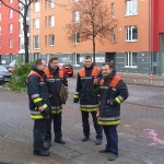 2-m-Funkstreife im Stadtteil Altona